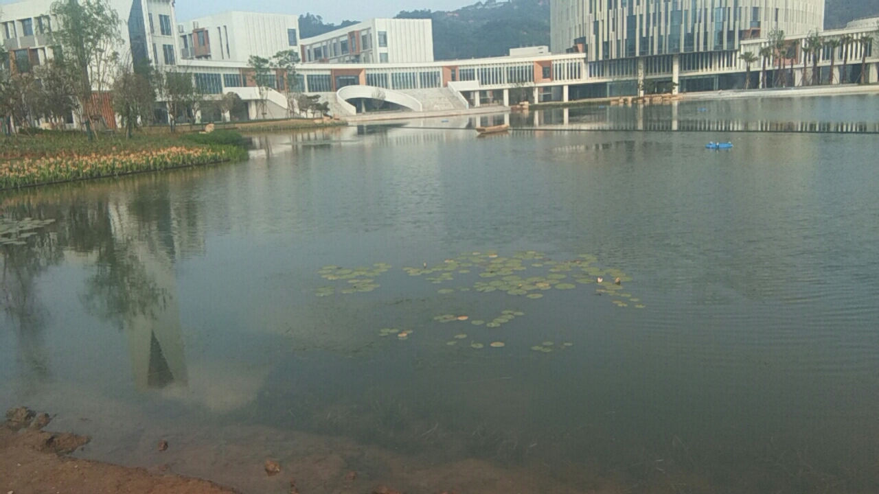 水生态治理与水体防渗结合(图4)